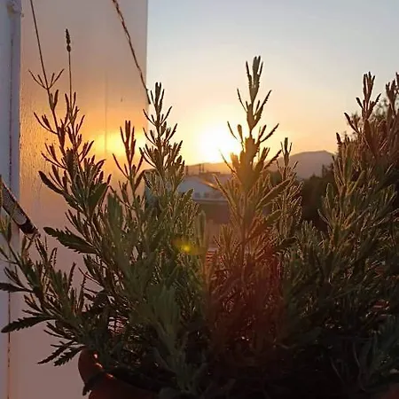 Filoxenia House Apartamento *